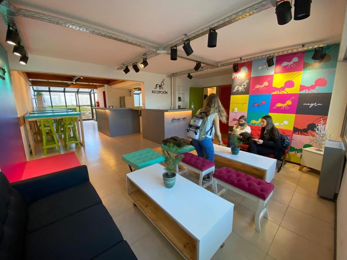 Hostel Hormiga Negra San Carlos de Bariloche Extérieur photo